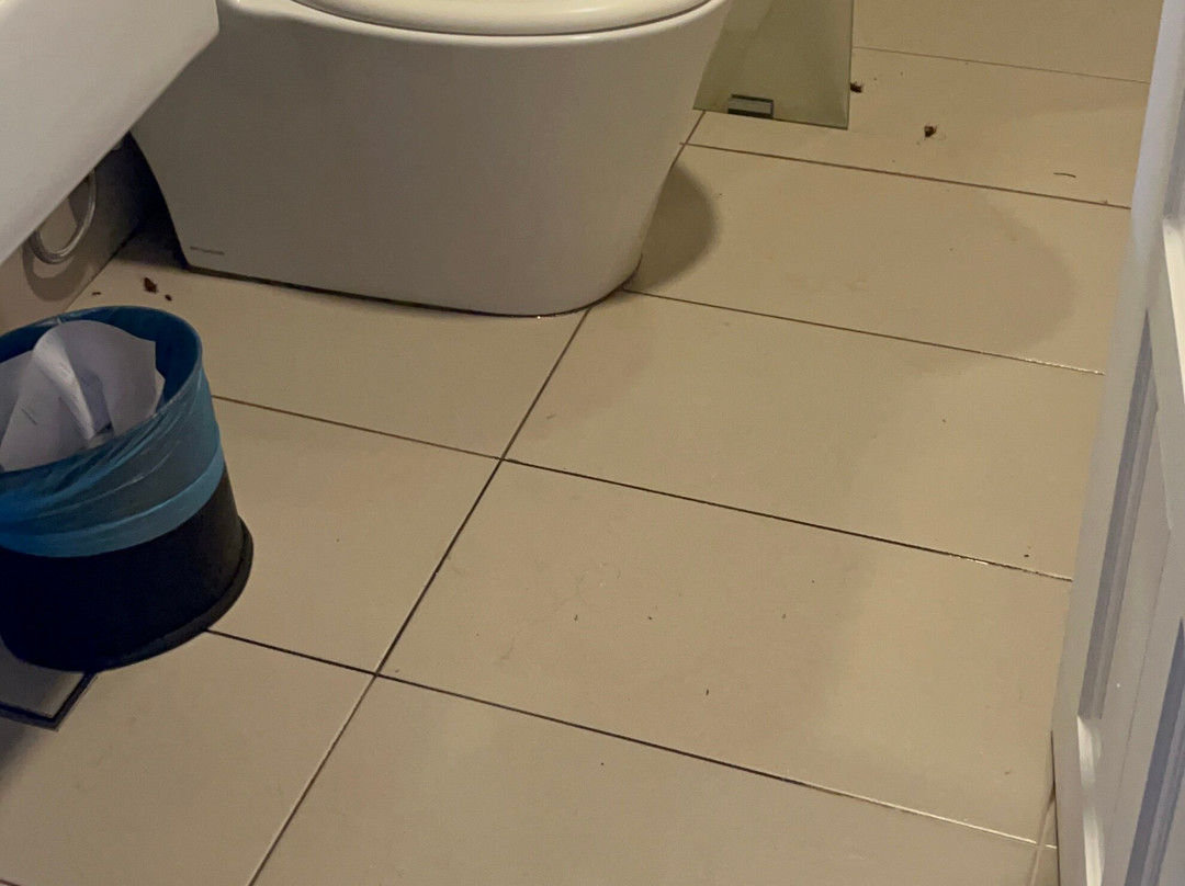 停泊岛度假村主图