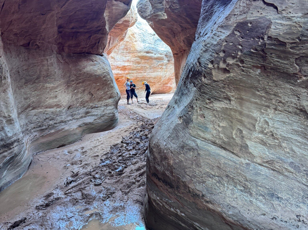 Wild Expeditions-布拉夫必去景点