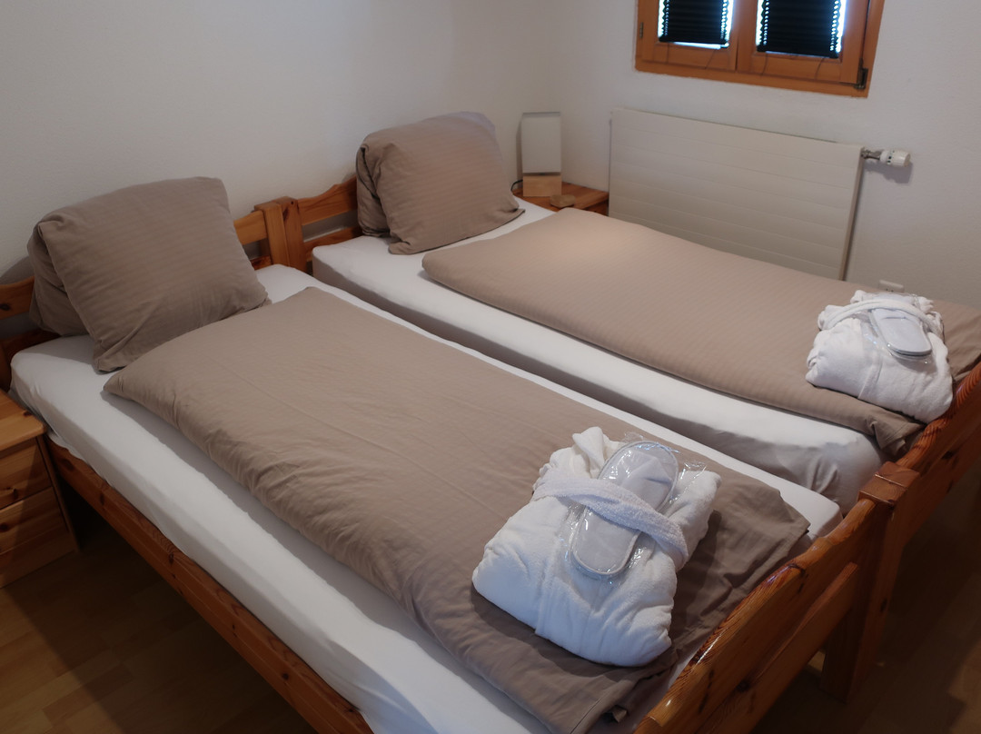 Aktiv Hotel & Spa Hannigalp主图