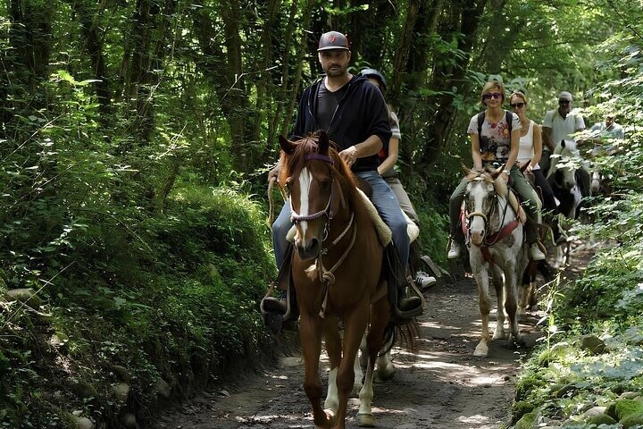 Agriturismo Il Picchio Verde
