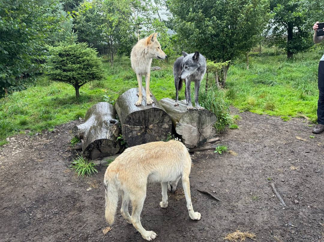 Predator Park-Ayside必去景点