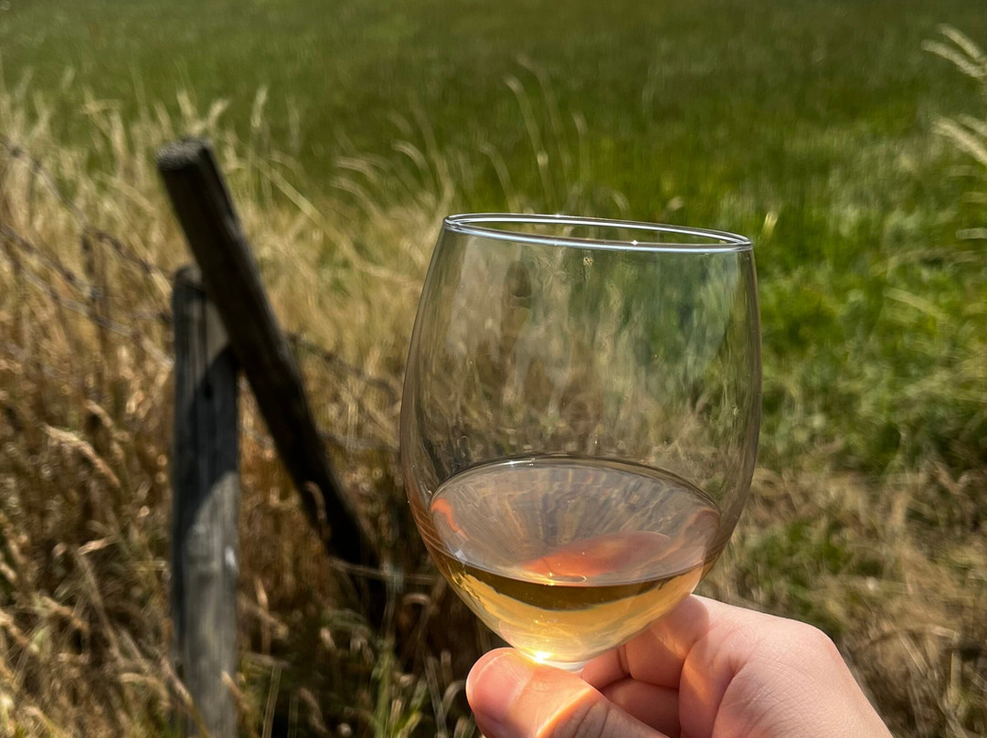 Brut Wines & Tours | Martenslinde-Bilzen必去景点