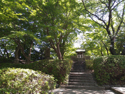 Kiyosu-Old Castle Ruins-清须市必去景点
