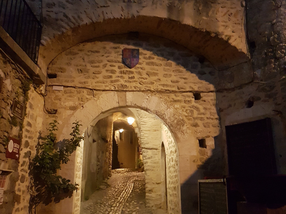 Château de Saint-Montan-Saint-Montan必去景点