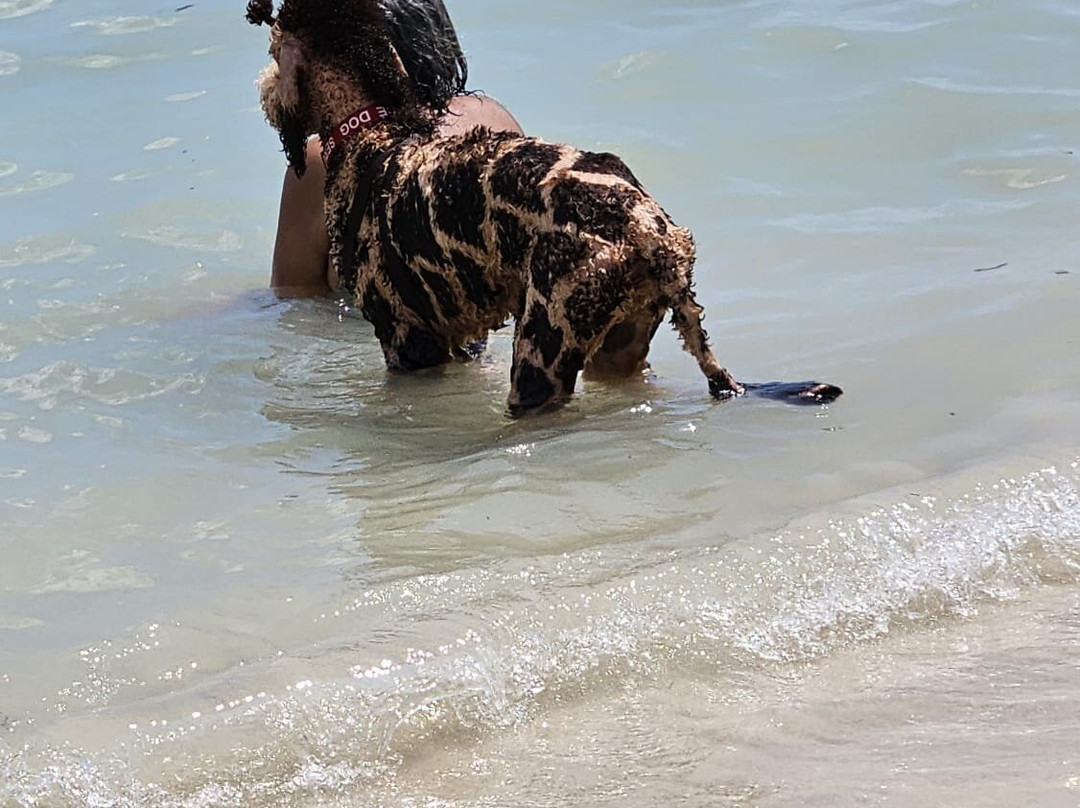 Playa La Jungla-Guanica必去景点