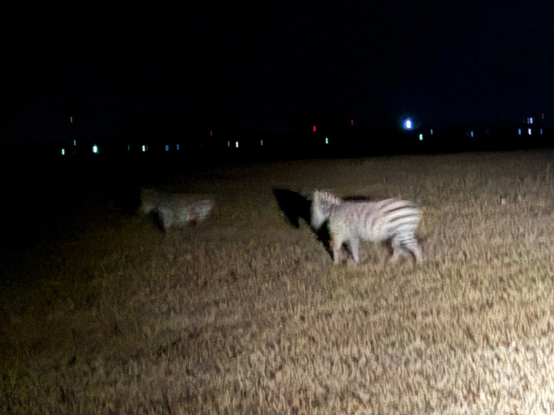 Comfort Gardens主图