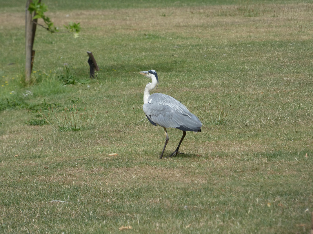 Yarwell Mill Country Park-Yarwell必去景点