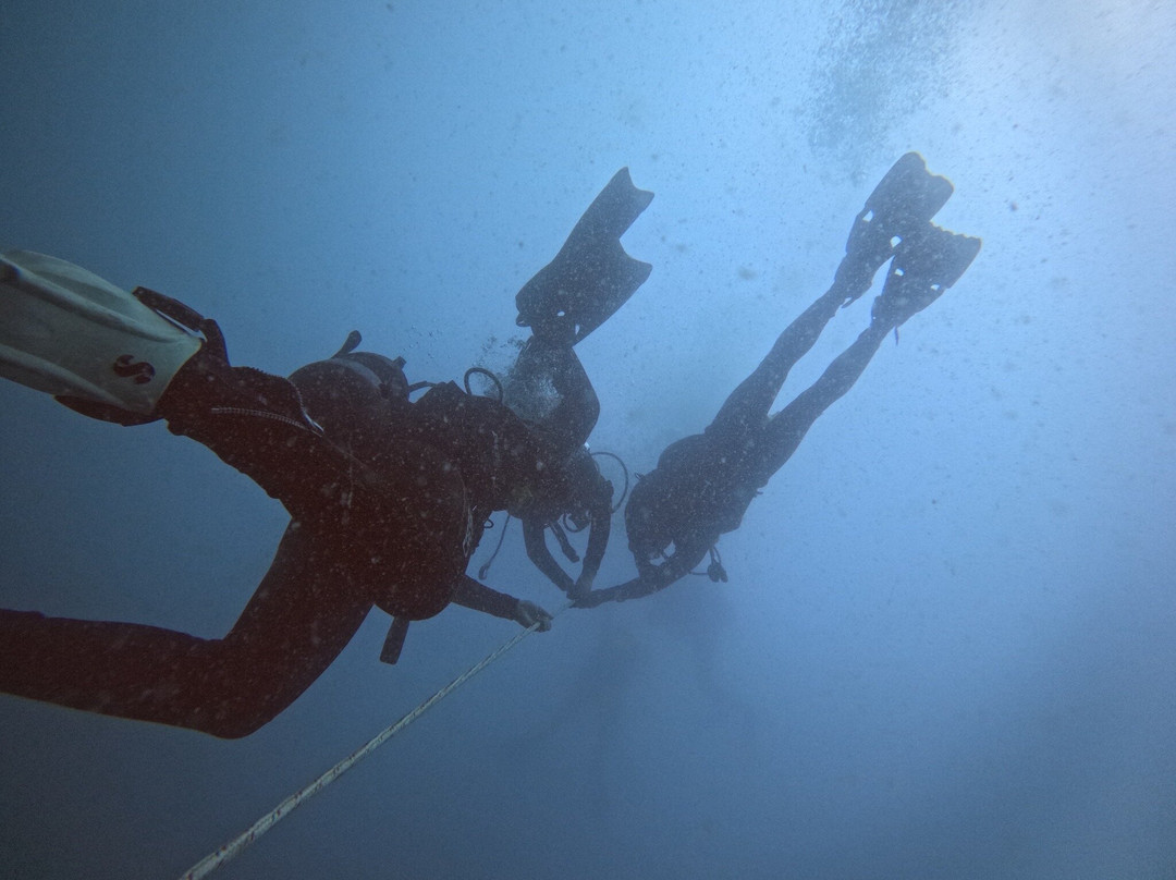 Isamar Diving Center-基奥贾必去景点