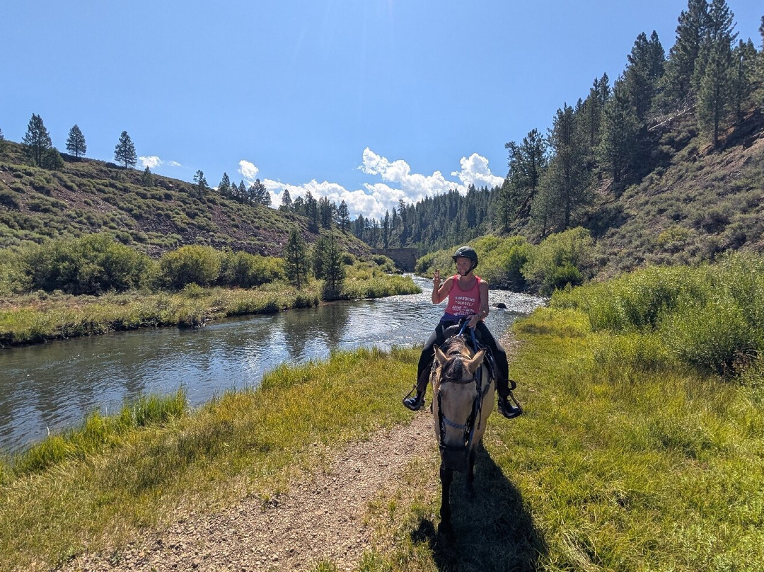 Piping Rock Equestrian Center-特拉基必去景点