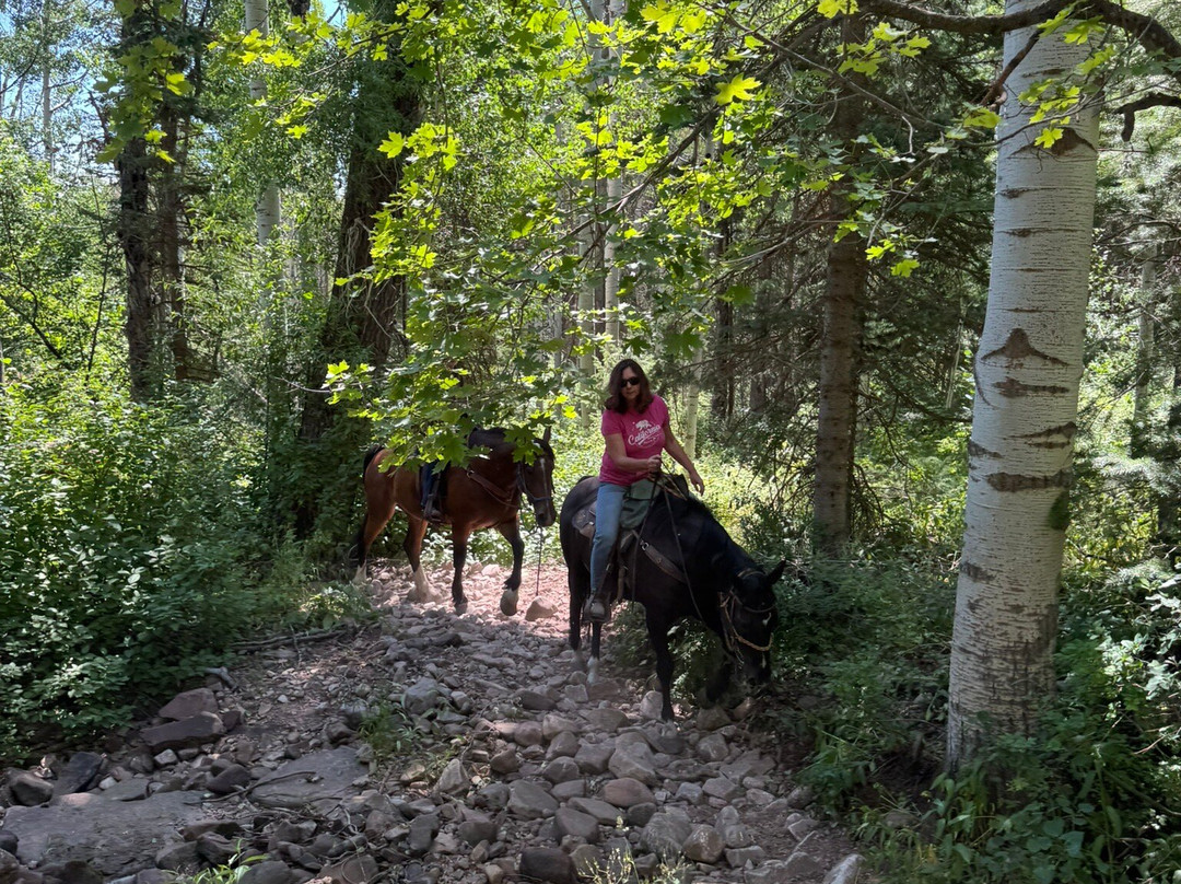 Red Pine Adventures-帕克城必去景点