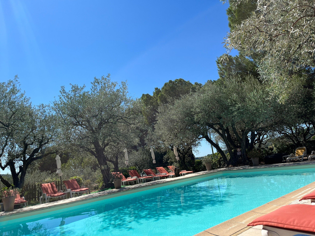 国际之家皮肖利酒店主图