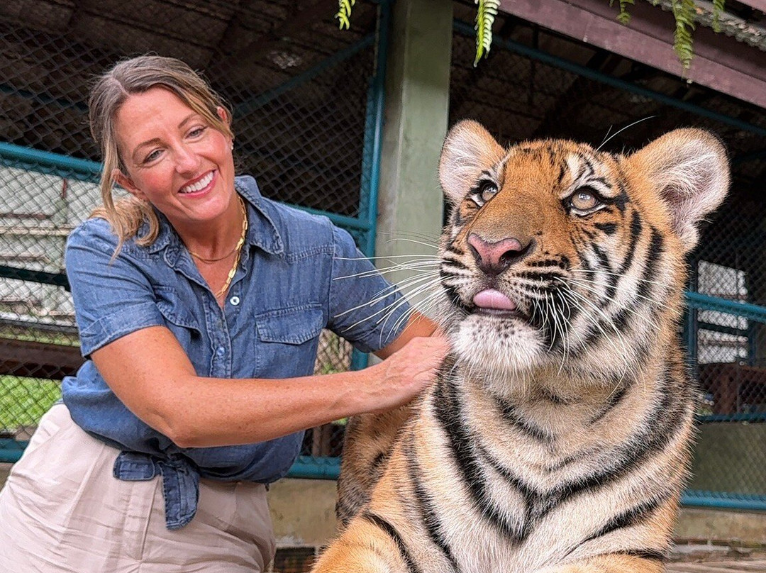 Tom Chiangmai Driver-清迈必去景点