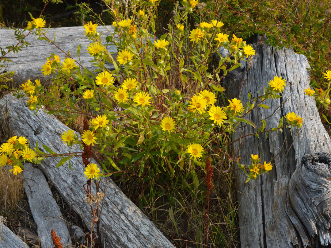 Joseph Whidbey State Park-Oak Harbor必去景点