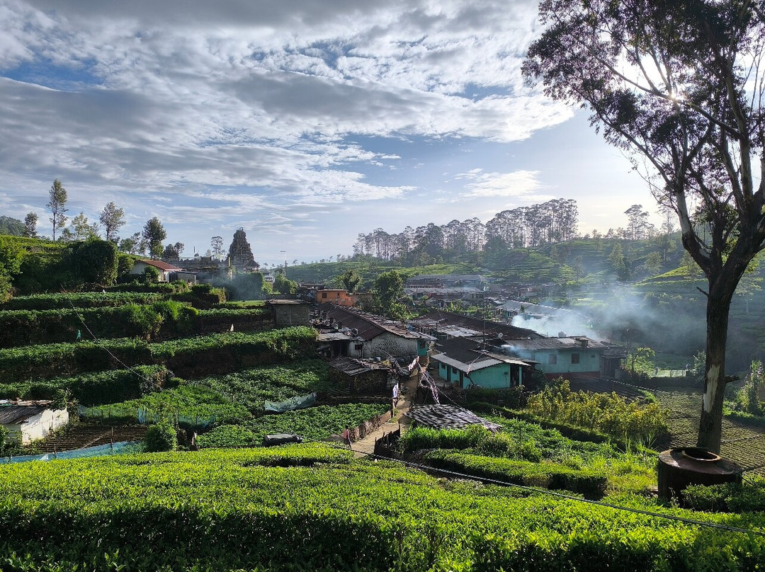 Hey Lanka Travels-康提必去景点