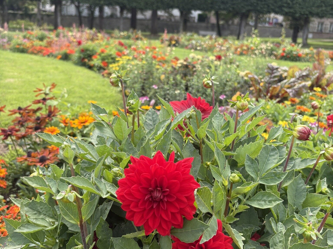 Le Chateau de Luneville-吕内维尔必去景点