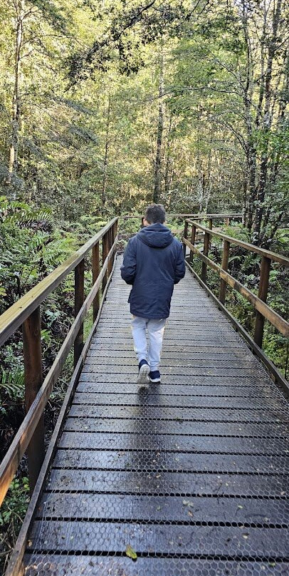 Monumento Natural Lahuen Nadi-蒙特港必去景点