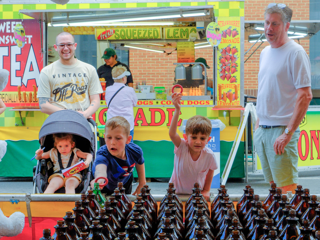 Shenandoah Apple Blossom Festival-温切斯特必去景点