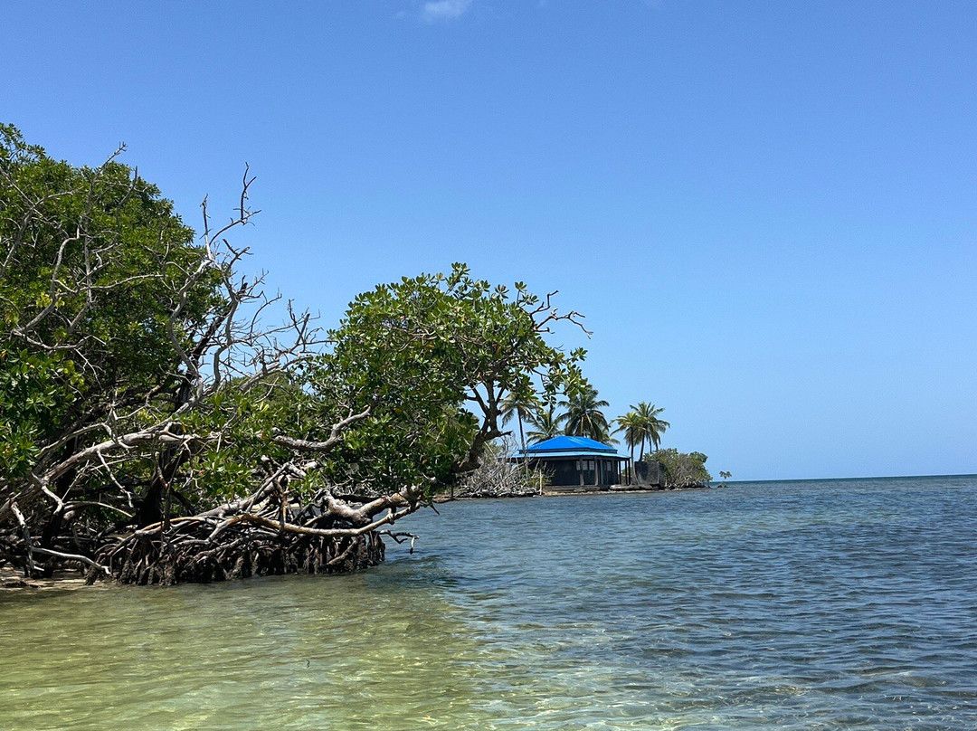 Yalodé Kayak Canyon Bain De Forêt-瓜德罗普岛必去景点