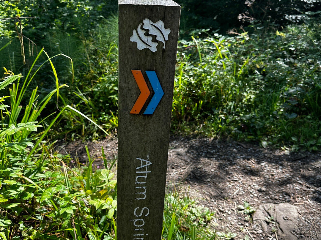 Hackfall Wood-里彭必去景点