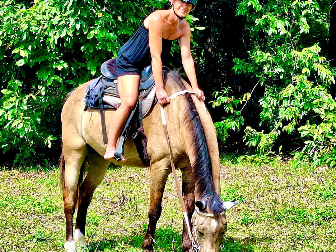 Santo Horse Adventures-卢甘维尔必去景点