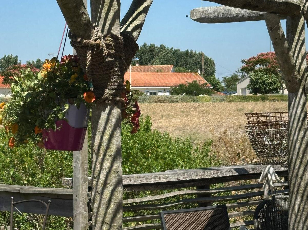 Huitres Chez Greg-L'Aiguillon-sur-Mer必去景点