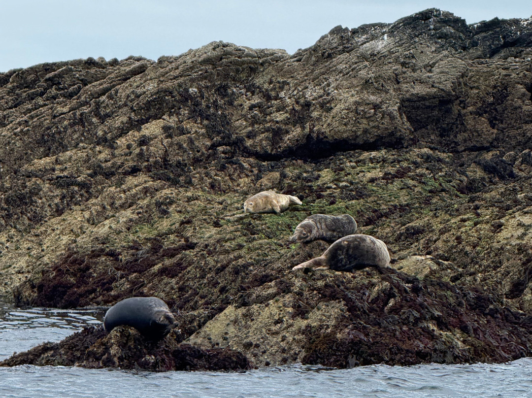 Aquila Charters-梅瓦吉西必去景点