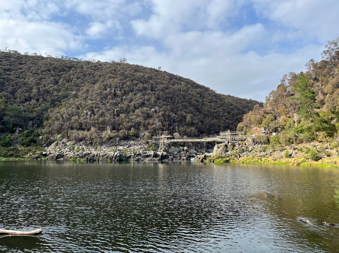 Alexandra Suspension Bridge-朗塞斯顿必去景点