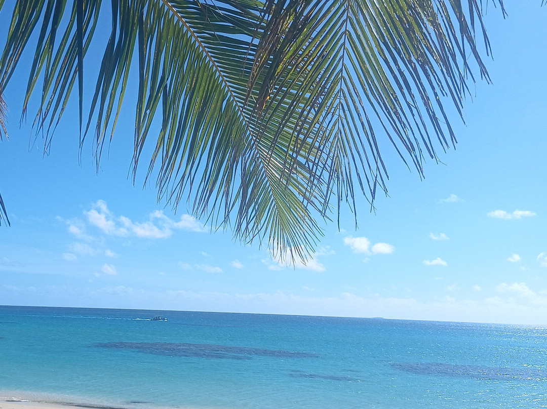 Matafonua Lodge主图