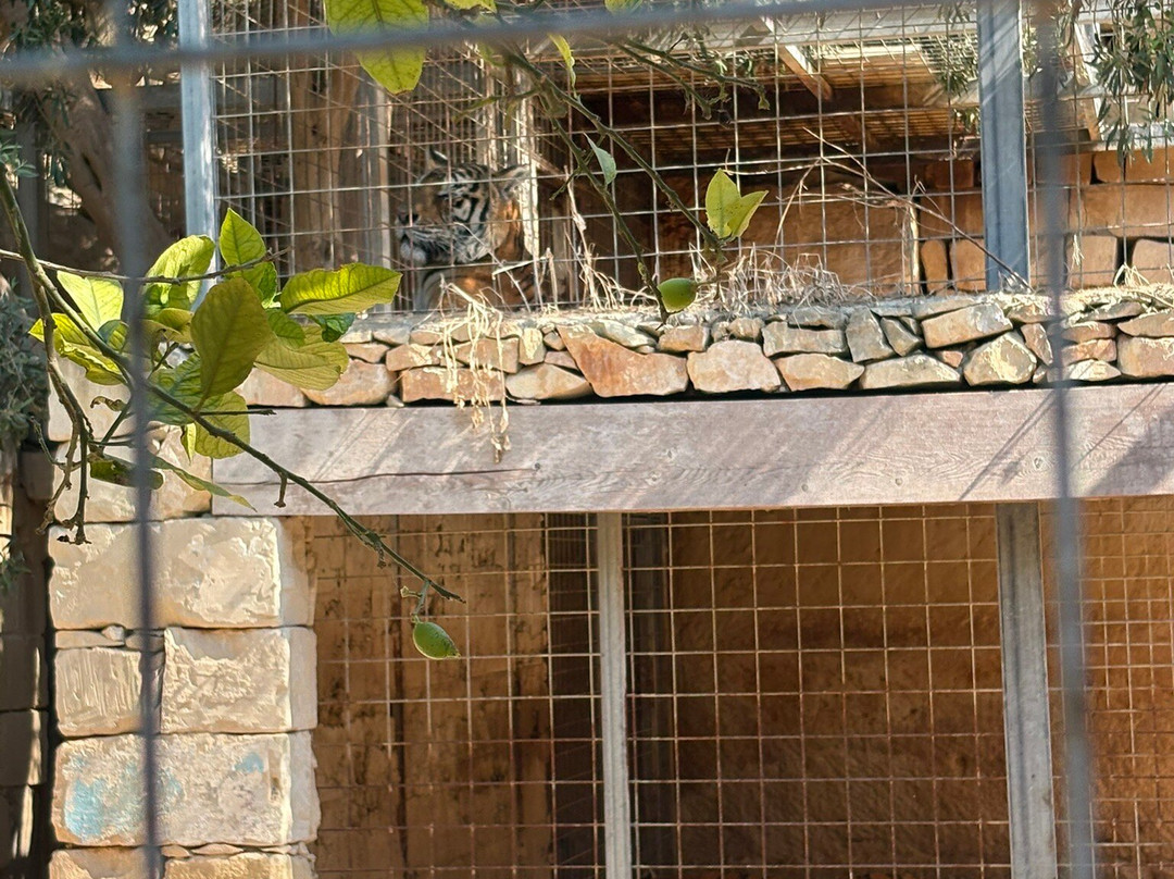 L-Arka ta' Noe-Siggiewi必去景点