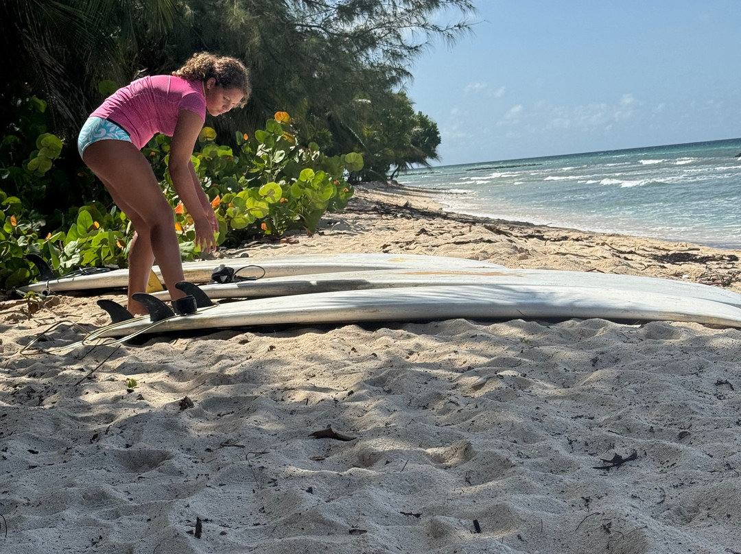 Bodie's School of Surf-奥伊斯廷斯必去景点