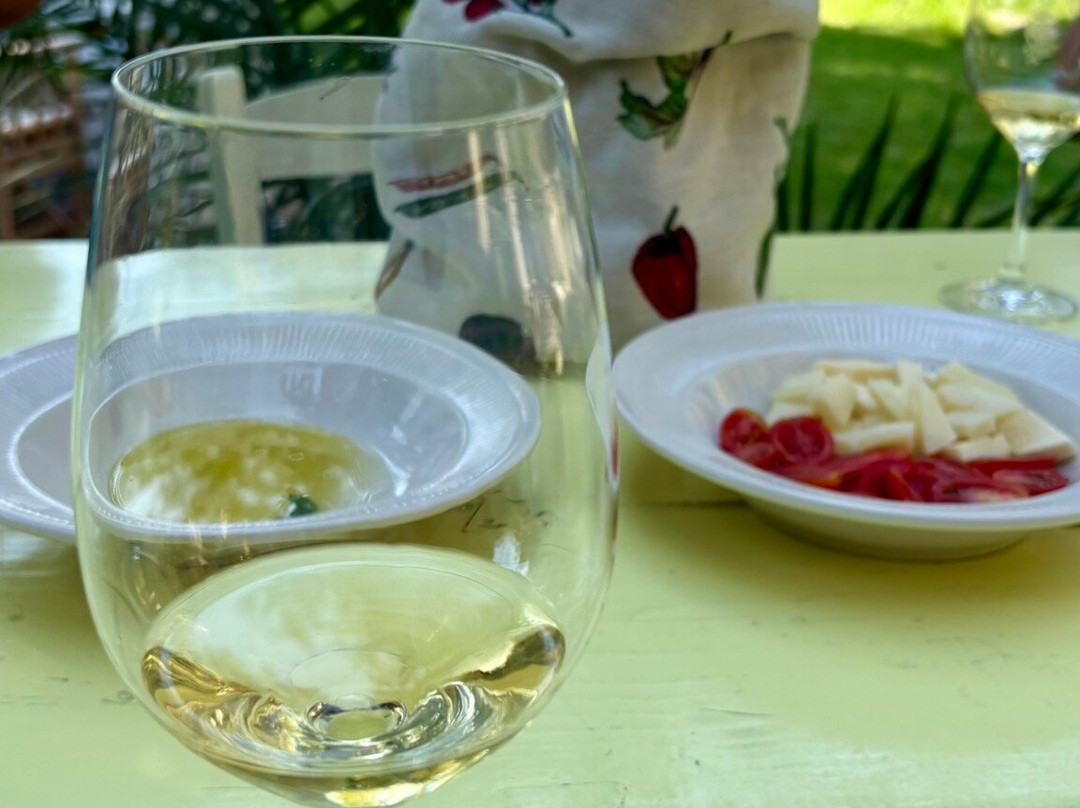 Haritatos Vineyard-Lixouri必去景点