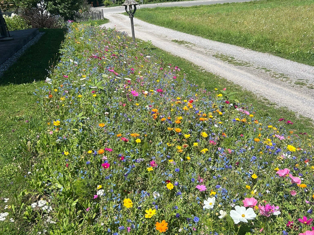 Das Leonhard - Naturparkhotel am Weissensee主图