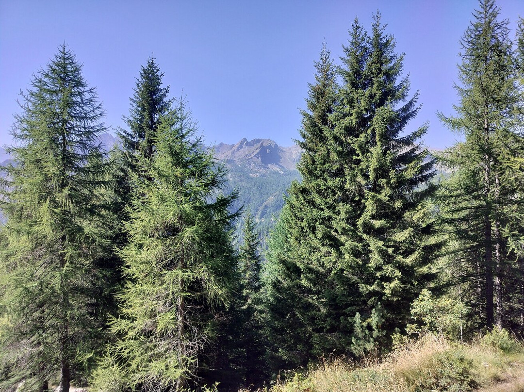 La Maison De Ghitta Cin It007034c1jywx主图