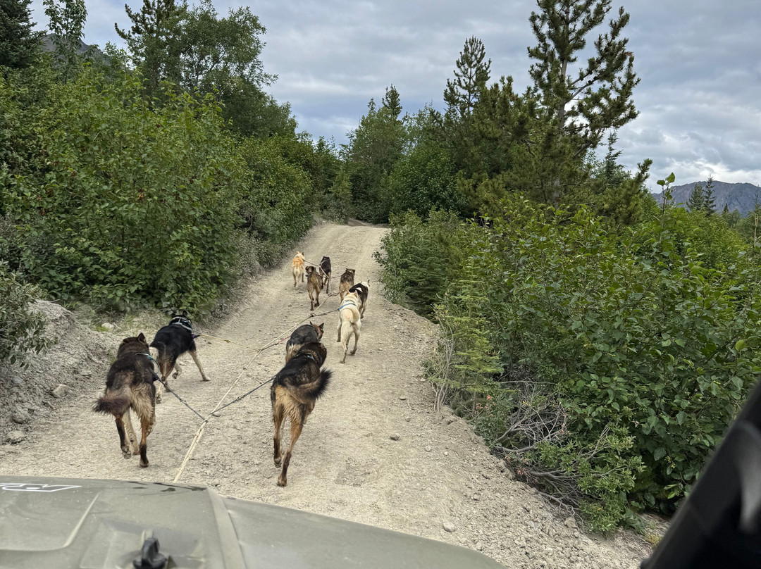 Tagish Lake Kennel-Tagish必去景点