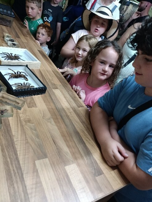 Pili Palas Nature World-Menai Bridge必去景点