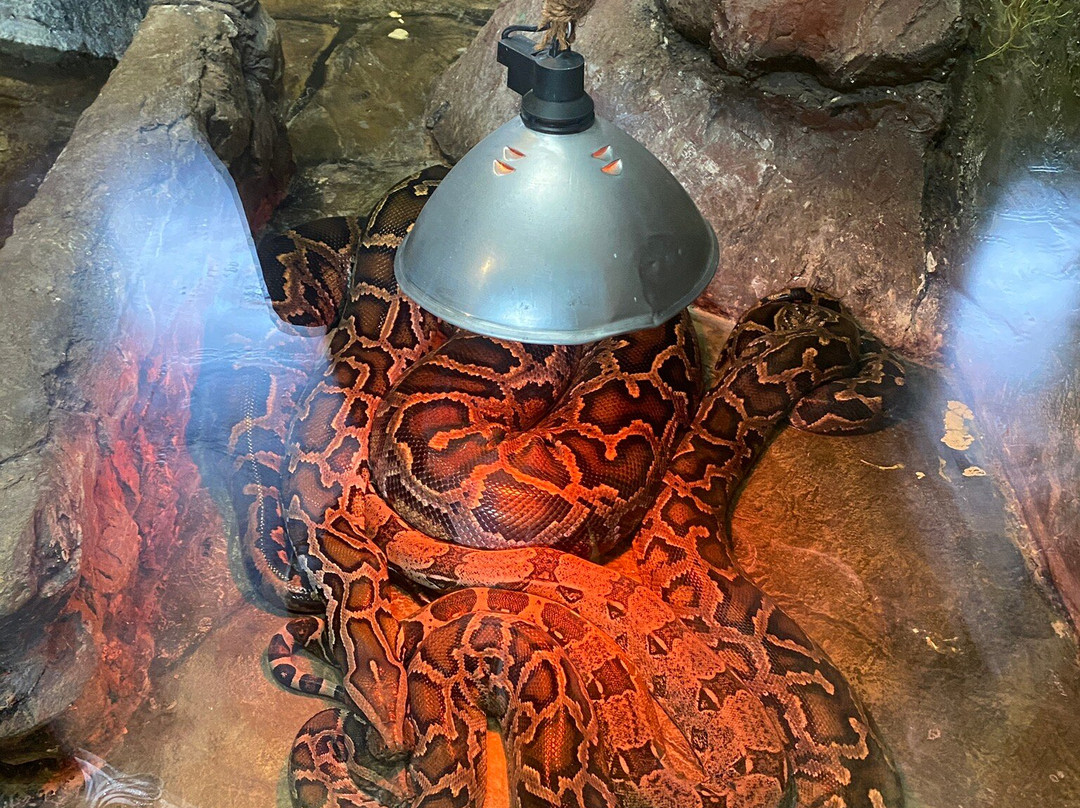 Sikalu ZOO-Radenci必去景点