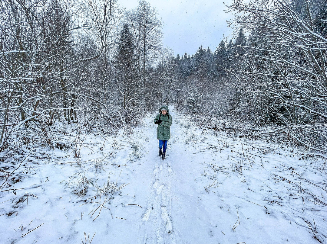 Utwardzona Ścieżka Spacerowa Odcinek Kamienna Góra-Baligrod必去景点