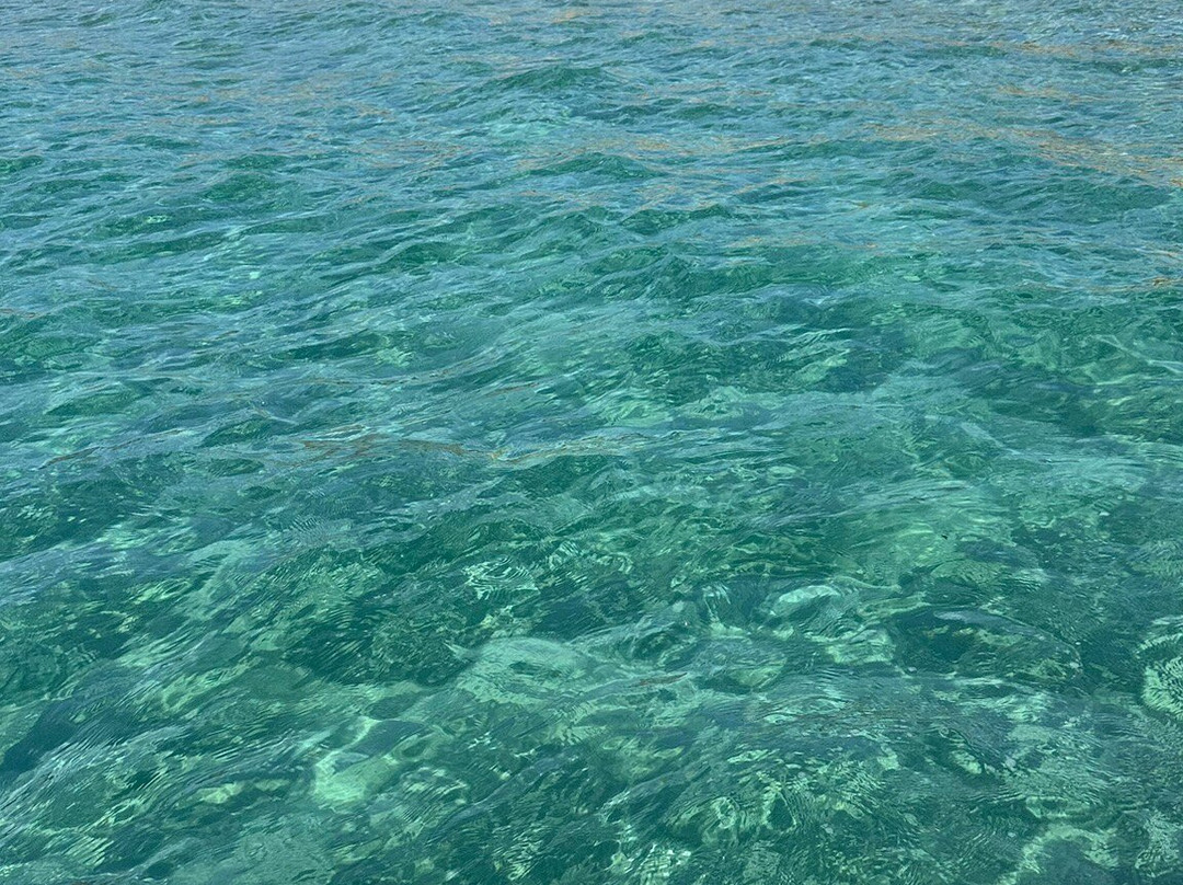 Baia dei Gigli - Hotel Club主图