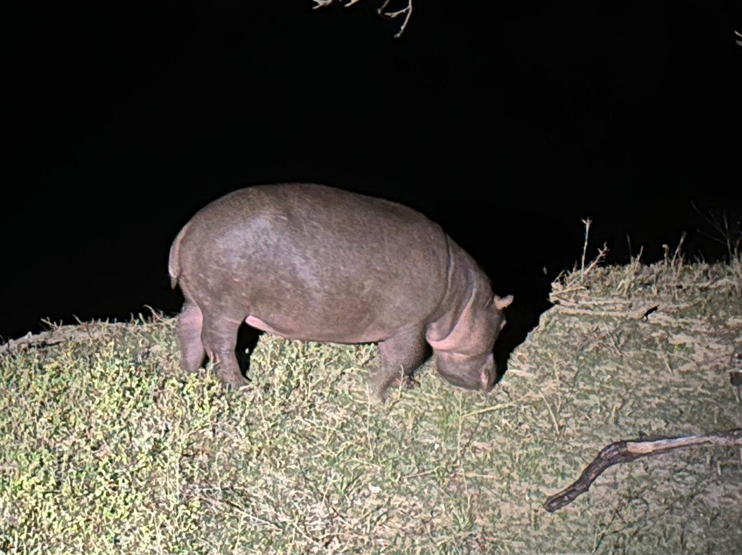 维多利亚瀑布河山林小屋主图