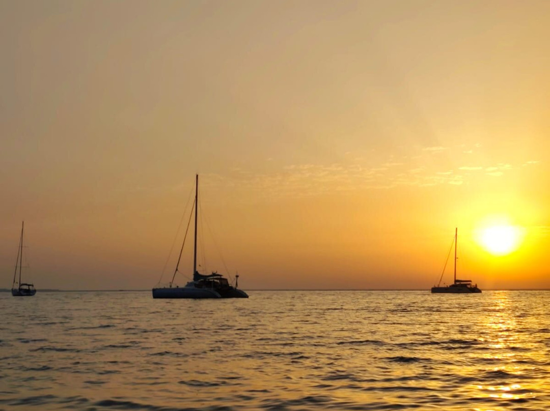 Chelonia - Watersports-Isola Delle Femmine必去景点