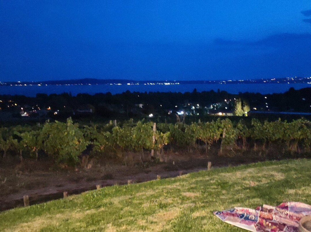 Cantine Capitani-Trevignano Romano必去景点