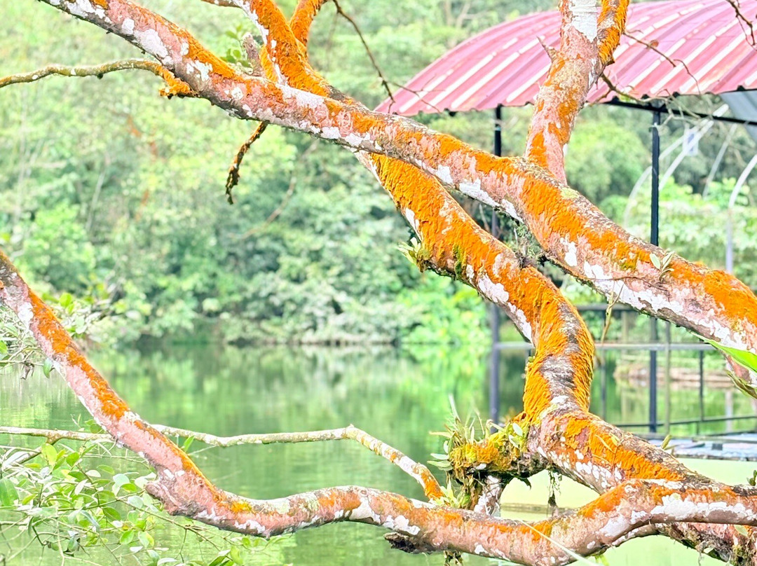 宁静湖精品酒店主图