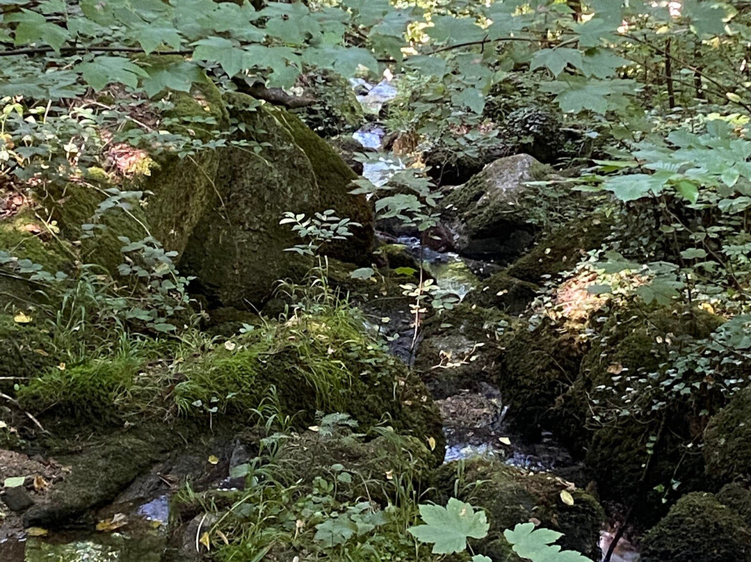 Gaishöll-Wasserfälle-Sasbachwalden必去景点