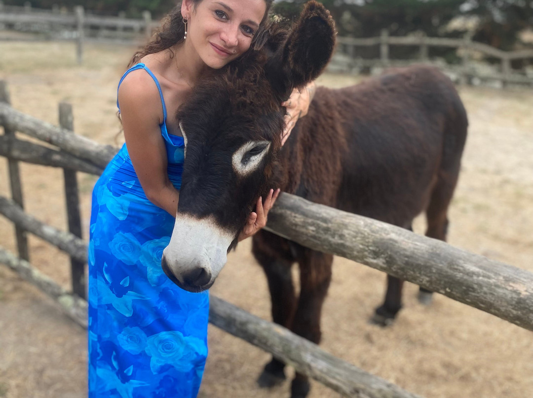 La Maison de l'Âne-Beauvoir-Sur-Mer必去景点