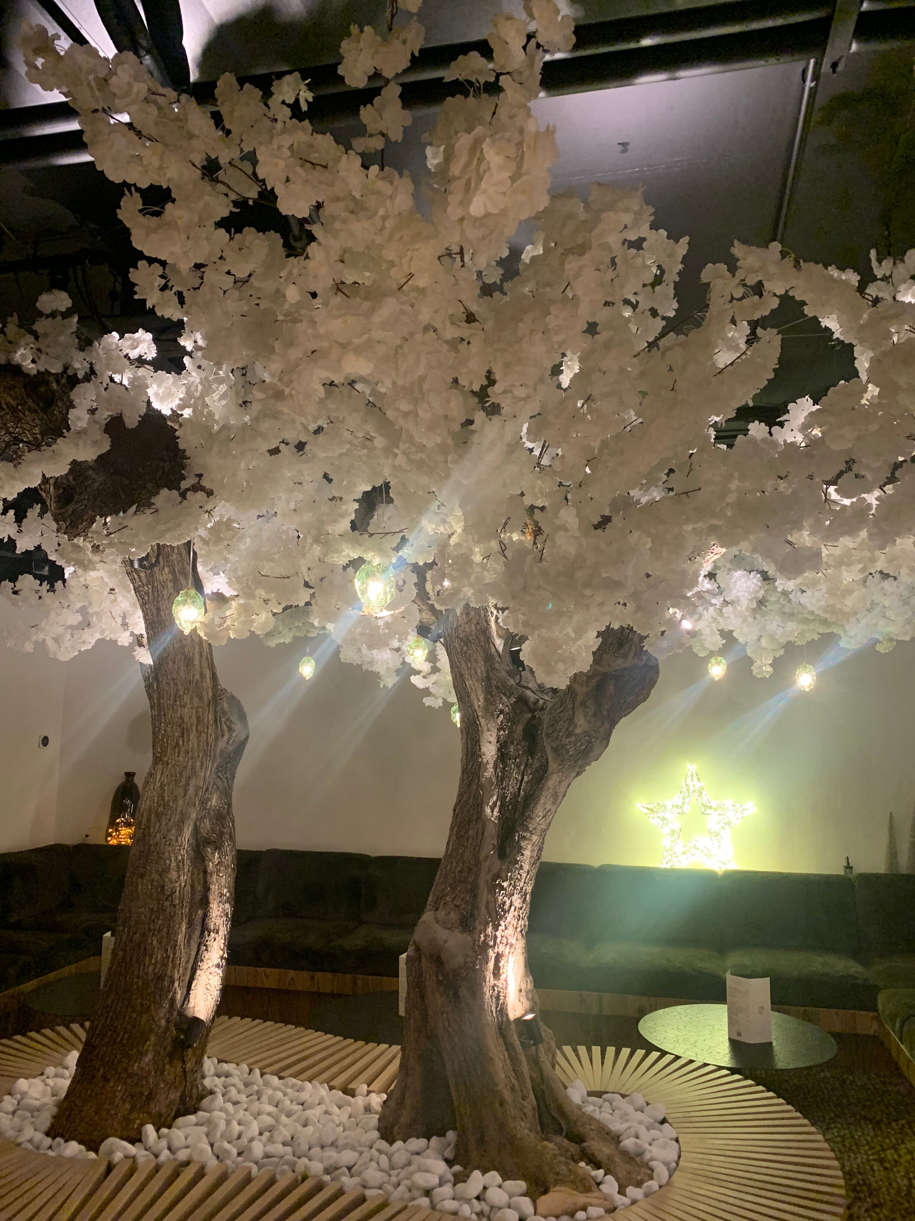 布尔加德酒店-官方