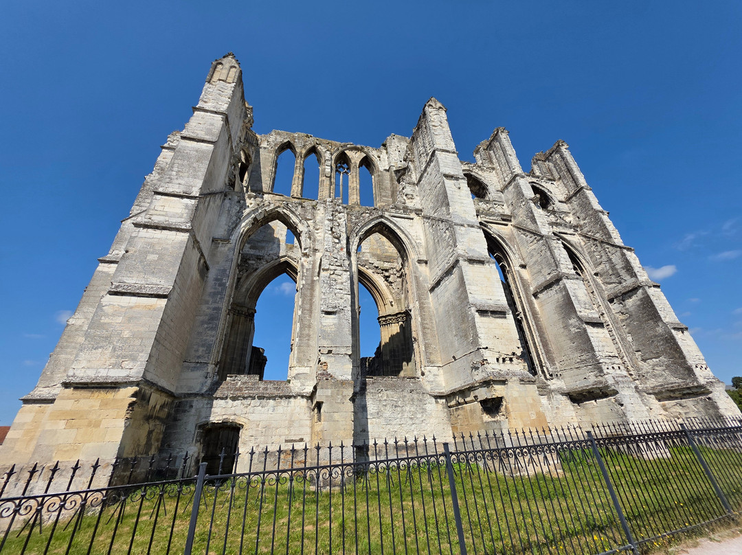 Ruines de l'Abbaye Saint-Bertin-圣奥梅尔必去景点