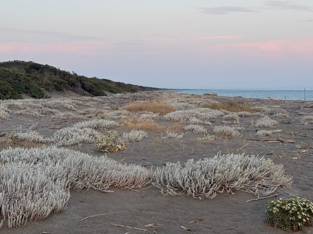 Oasi WWF del Lago di Burano-Capalbio Scalo必去景点
