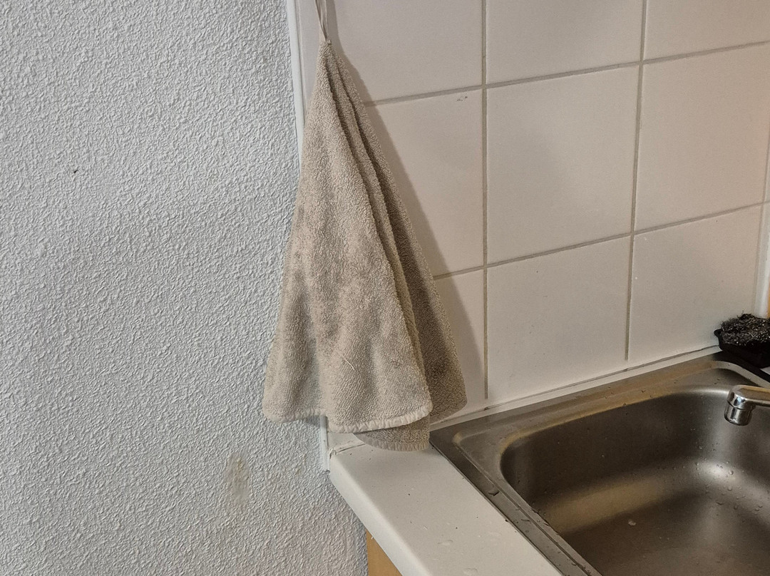 Adonis Cassen by Olydea主图