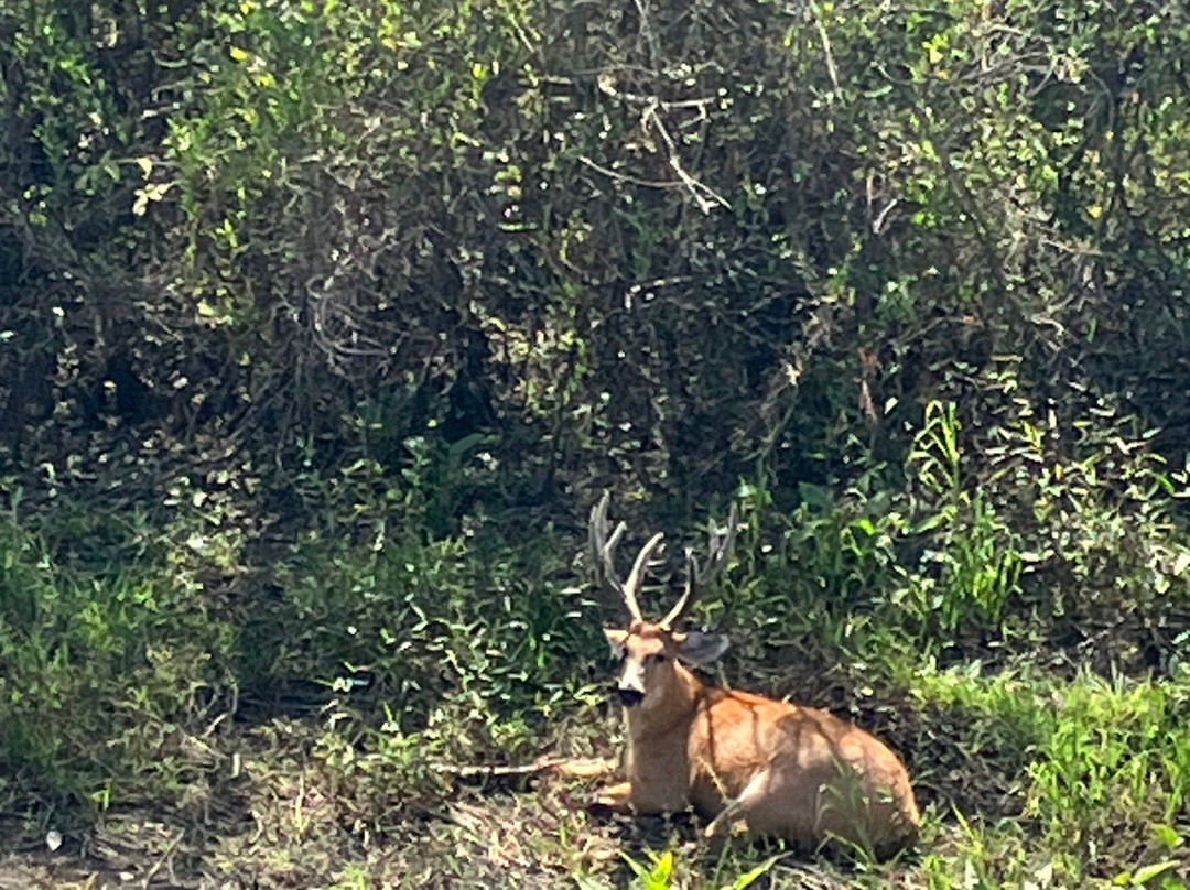 Buriti Viagens-Aquidauana必去景点