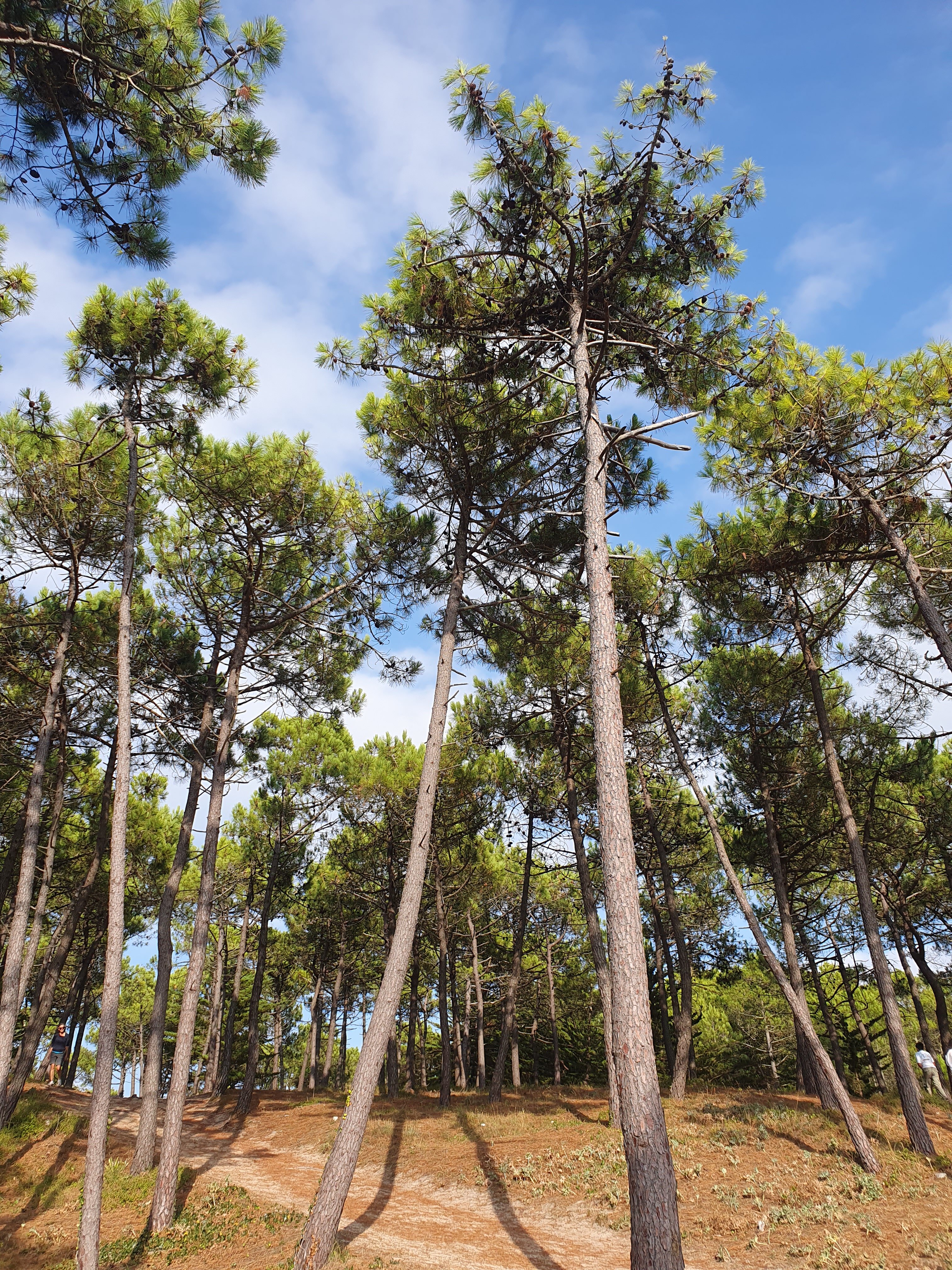 Les Quatre Vents-浴室